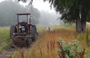 Tractor in the Field                             